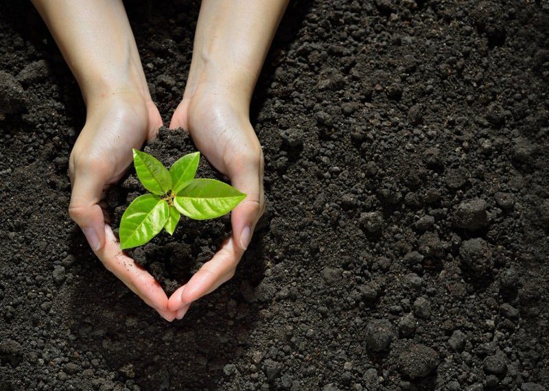 Thales, Telstra, Microsoft and Arduino working on scalable IoT security with GSMA standard